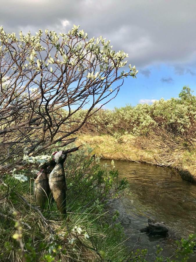 Oppdal Alpintun公寓 外观 照片